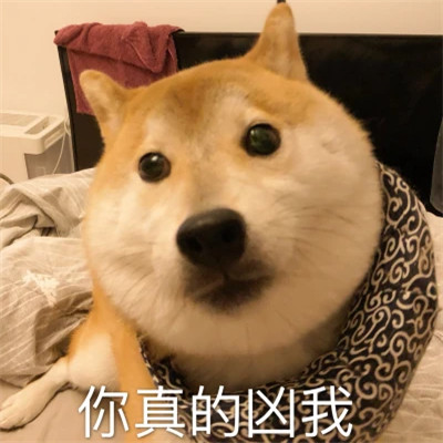 2025最火沙雕头像