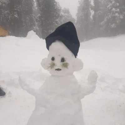 2025最火可爱雪人头像
