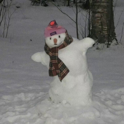 2025最火可爱雪人头像