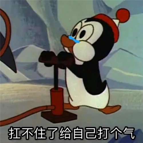 2025新款好看的微信头像