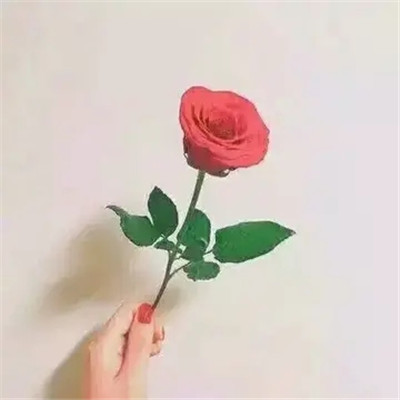改变运气的微信头像图片