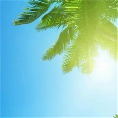 改变运气的微信头像图片