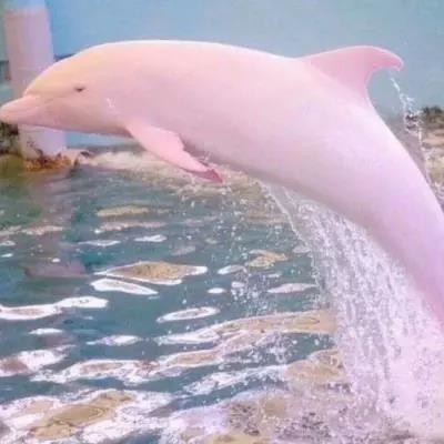 改变运气的微信头像图片
