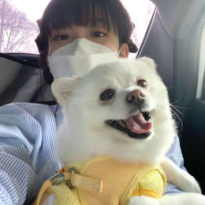 QQ头像氛围感女