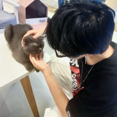 高级头像ins质感男
