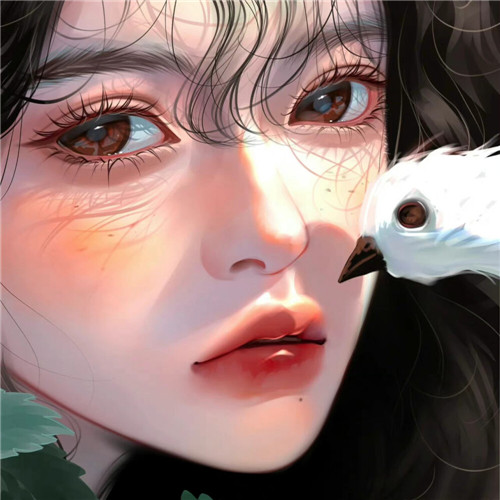 小众手绘插画女生头像