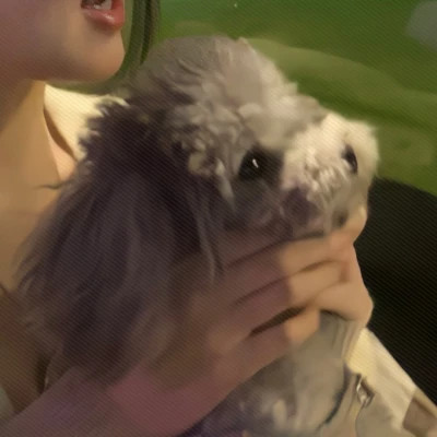 独一无二的情侣头像一左一右好看图片