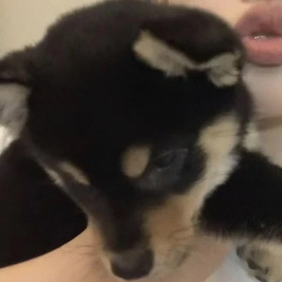 情侣头像二人专用独一无二