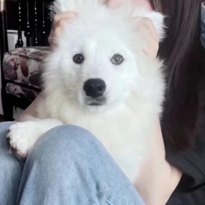 情侣头像二人专用独一无二