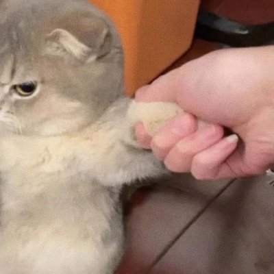 冷门却很高级的情头