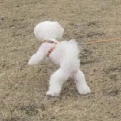 冷门却很高级的情头