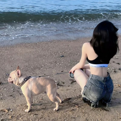 冷门却很高级的情头