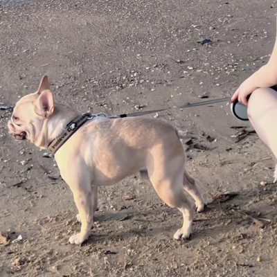 冷门却很高级的情头