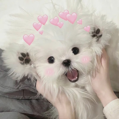 冷门却很高级的情头