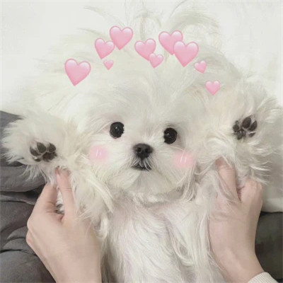 冷门却很高级的情头