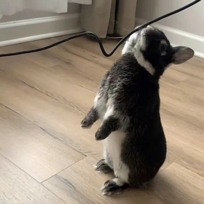 永久不换冷门的情头