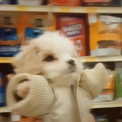 永久不换冷门的情头