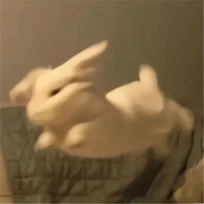 永久不换冷门的情头