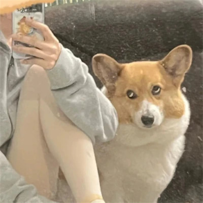 小众个性冷门好看的情侣头像