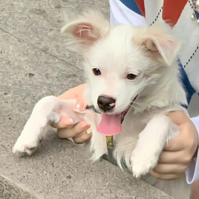 低调小众情头