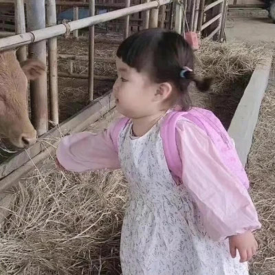 微信头像情侣冷门小众好看图片