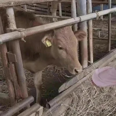 微信头像情侣冷门小众好看图片