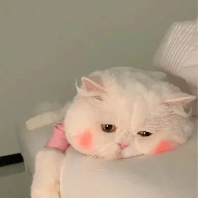 微信头像情侣冷门小众好看图片