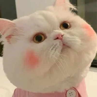 微信头像情侣冷门小众好看图片