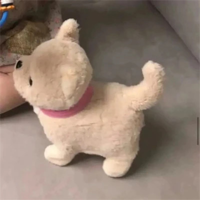 冷门但耐看的情侣头像