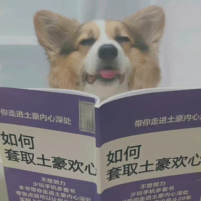 冷门但耐看的情侣头像
