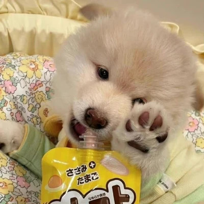 冷门但耐看的情侣头像