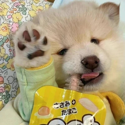 冷门但耐看的情侣头像