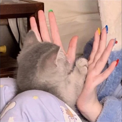 2025冷门情侣头像图片超火