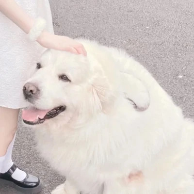 冷门情侣头像二人专用