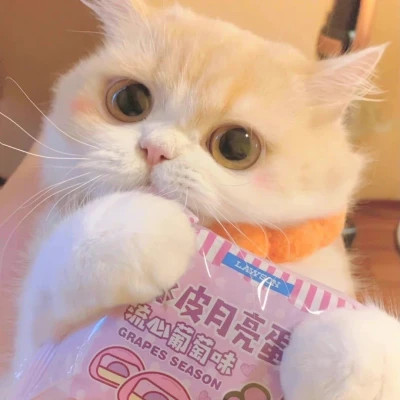 小众但不烂大街的情侣头像