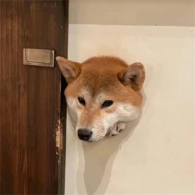 小众但不烂大街的情侣头像