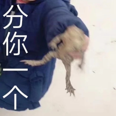 情侣头像单人冷门一人一张图片