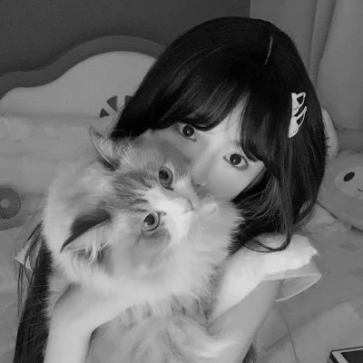 黑白女头高级小众