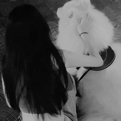 黑白女头高级小众