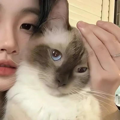 一眼就心动的情侣头像真人