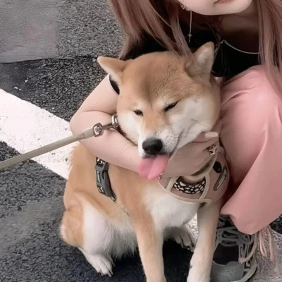 一眼就心动的情侣头像真人