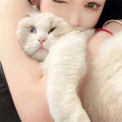 永久不换的头像真人情侣一对