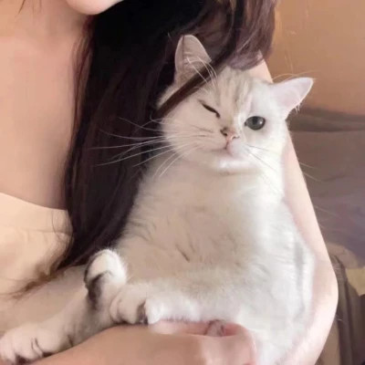 永久不换的头像真人情侣一对