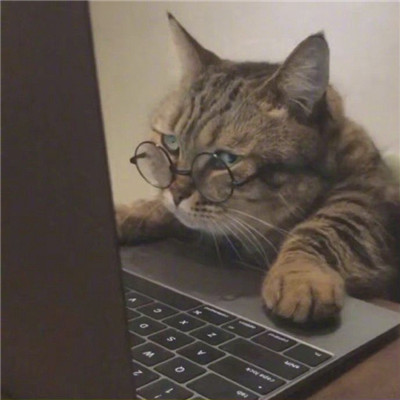 可爱甜蜜猫咪情头一左一右