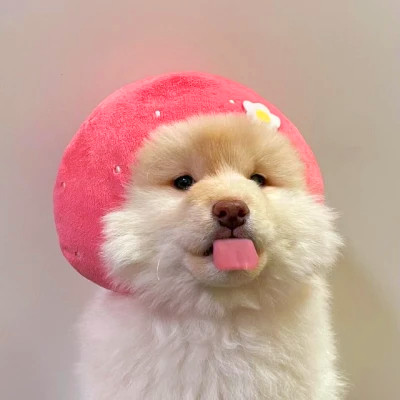 情侣头像小动物一对