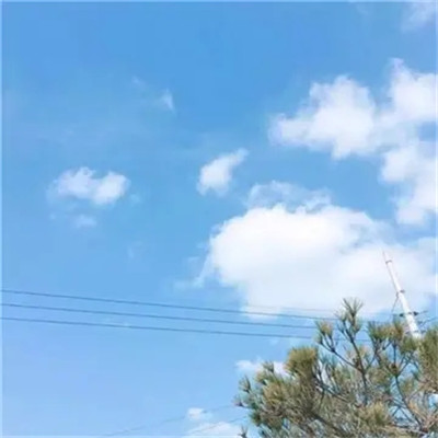 2025简单干净好看的头像