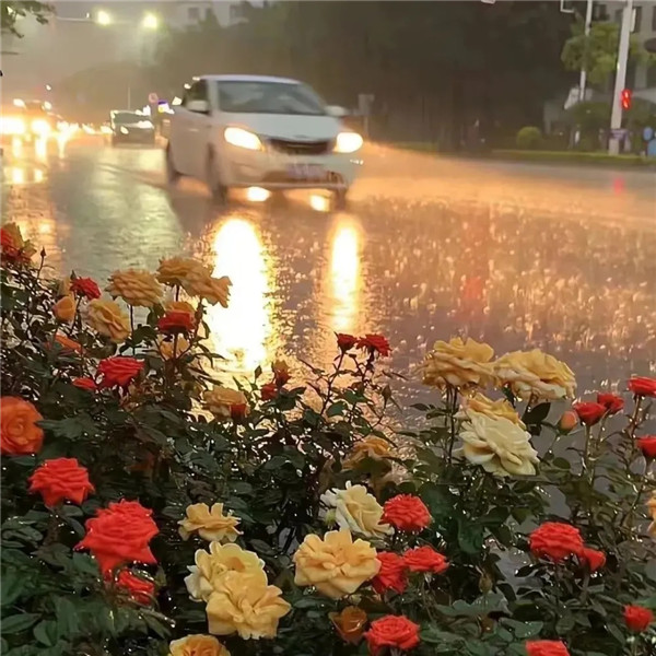 好看到爆的朋友圈背景图片头像