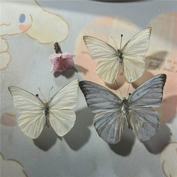 好看到爆的朋友圈背景图片头像