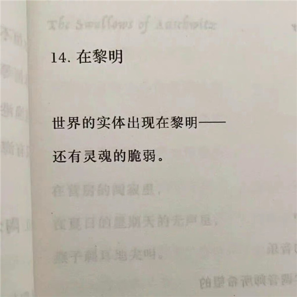 好看到爆的朋友圈背景图片头像