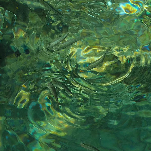 好看到爆的朋友圈背景图片头像